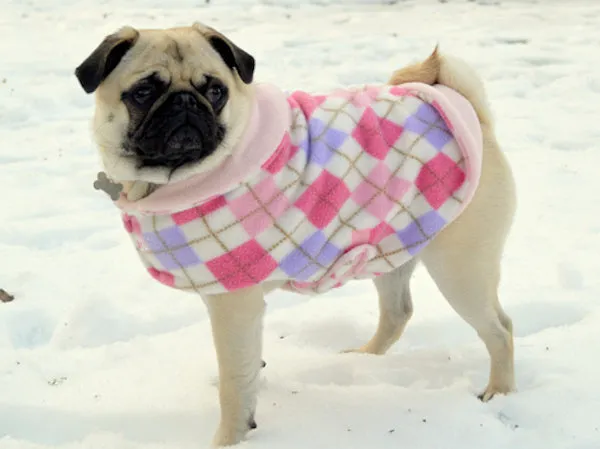 Fleece Jacket: Preppy Pink Argyle