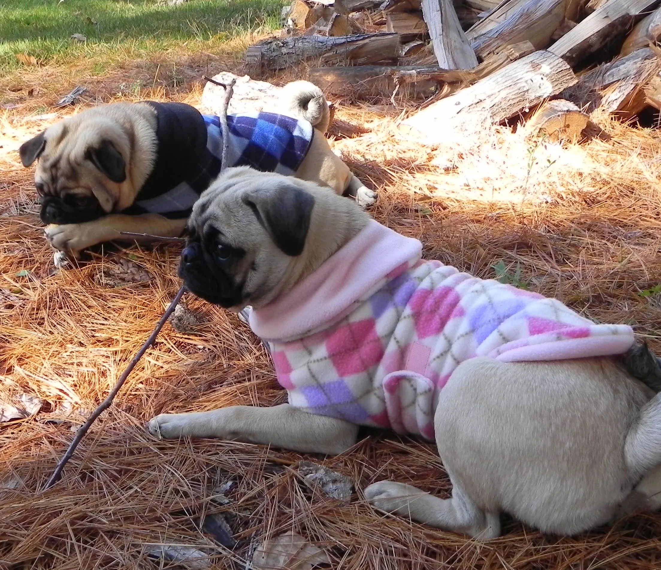 Fleece Jacket: Preppy Pink Argyle