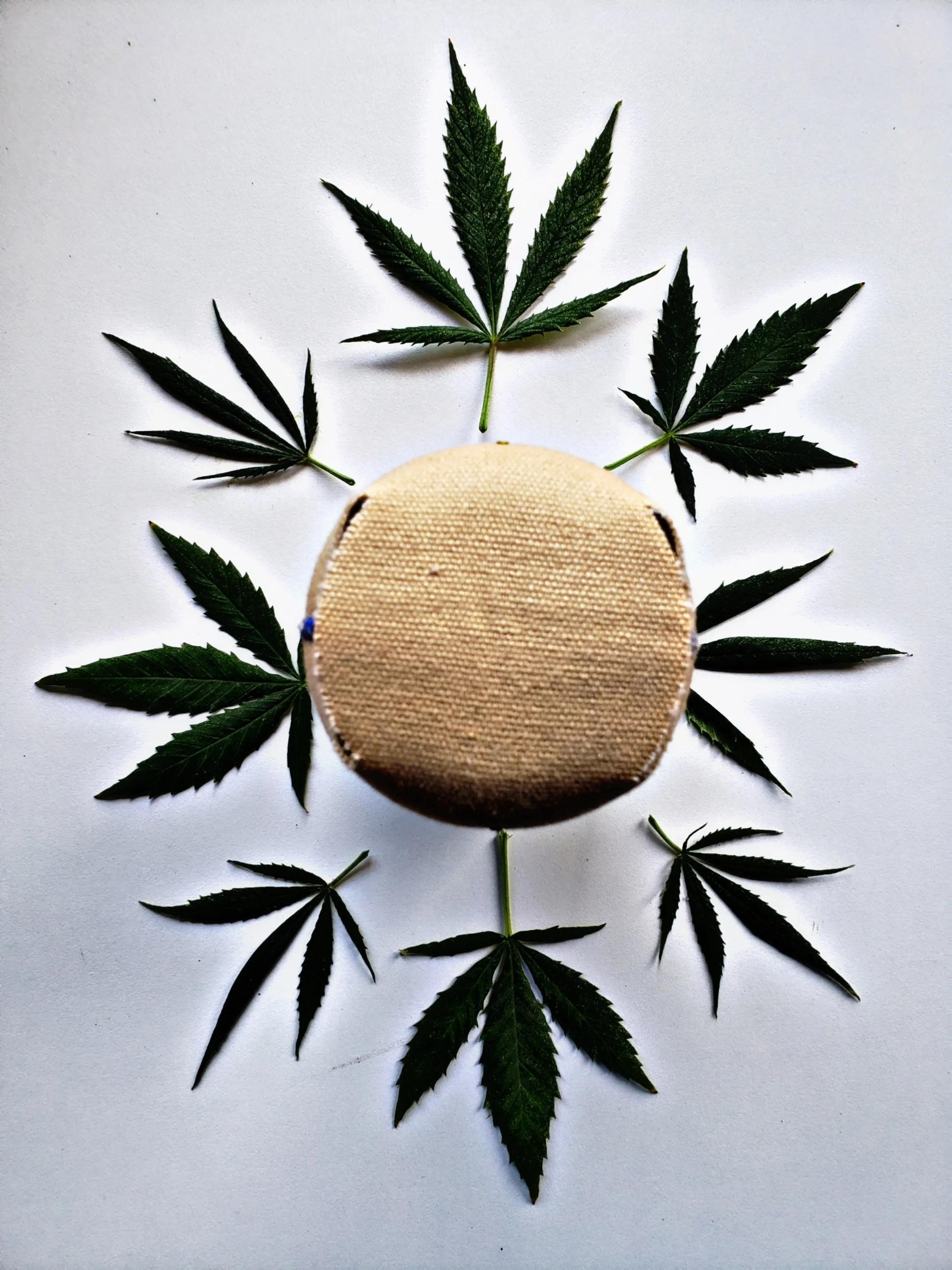 Hemp Blazer