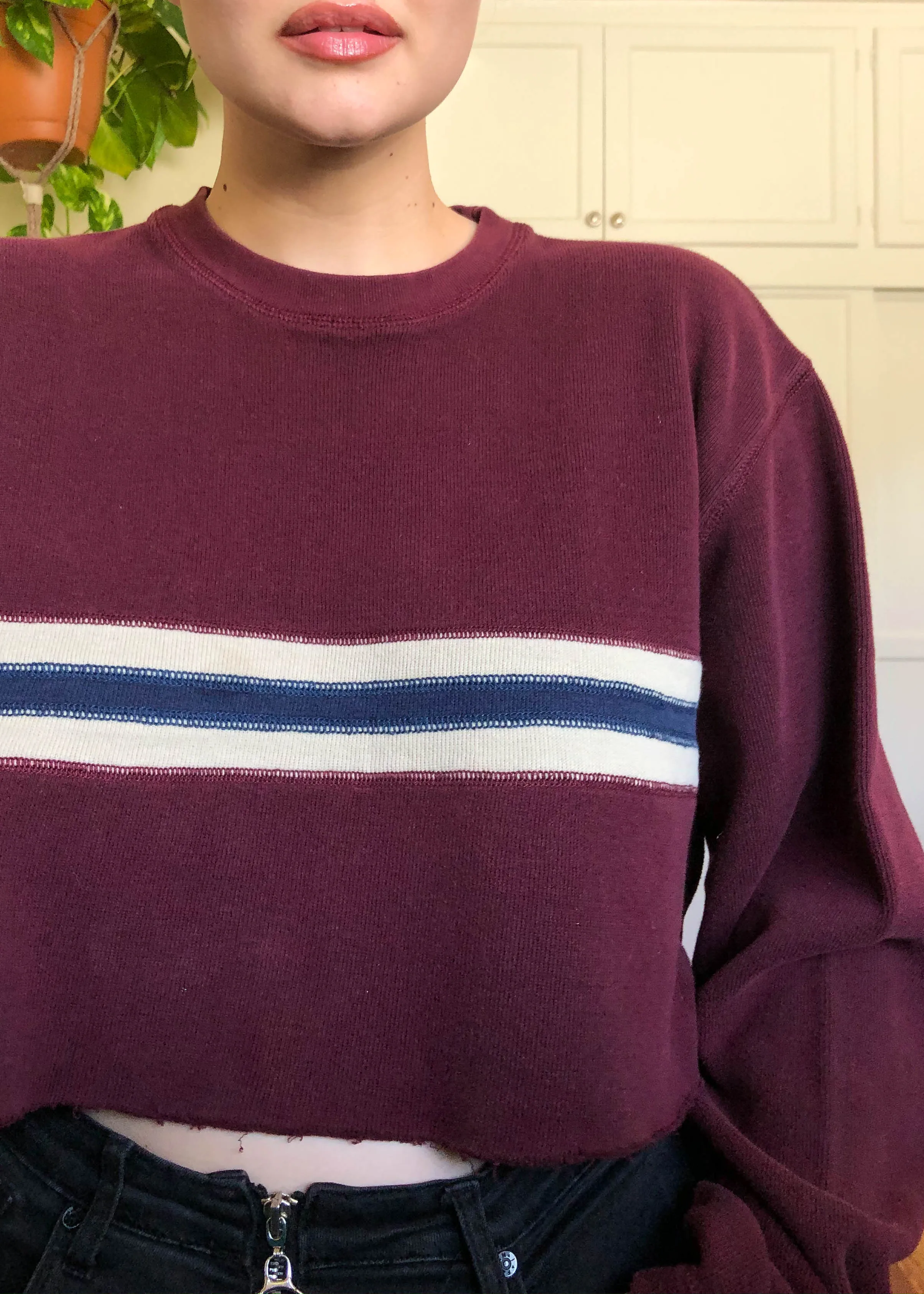 Vintage Gap Burgundy Striped Raw Crop Sweater - 3X/4X